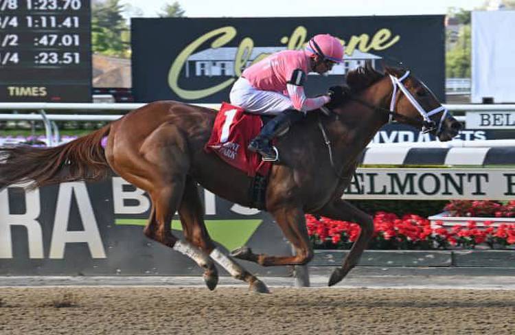 Belmont: Pass the Champagne, Ottoman Fleet win graded stakes