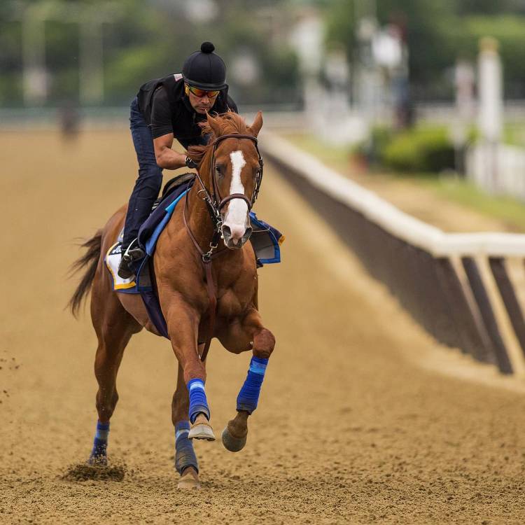 Belmont Stakes 2018: Updated Predictions, Betting Lines and Post Time