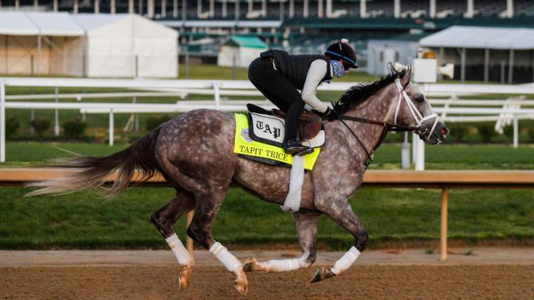 Belmont Stakes 2023 predictions, odds, betting guide: Expert picks for win, place, show, trifecta, superfecta