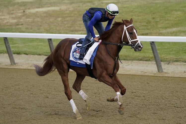 Belmont Stakes 2023: Take a look at the horses in Saturday’s race