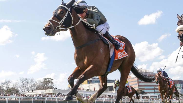 Benalla Cup tips: Spanish Tides the best bet of Benalla Cup Day on Friday