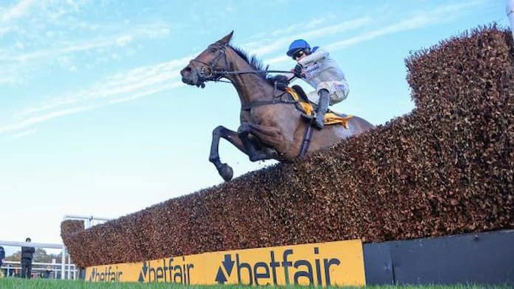 Betfair Chase 2023 Betting: Protektorat Heads Haydock Runners