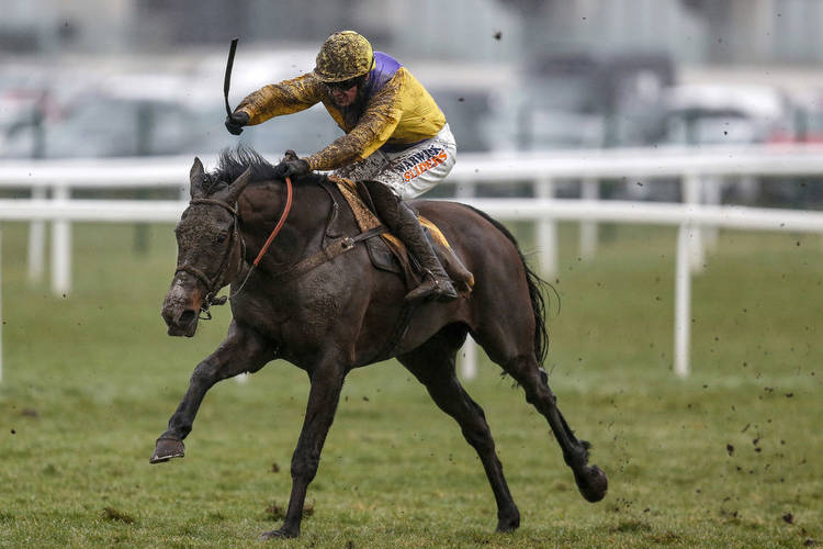 Betfair Hurdle Preview: More Mullins success on the cards
