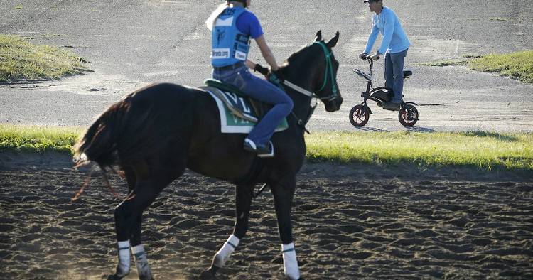 Betting Canterbury Park: Five tips from the Star Tribune’s handicapper
