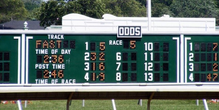 Betting Horses to Show in Horse Racing