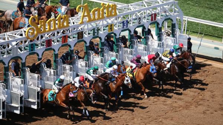 Betting on Early Speed in the Santa Anita Sprint Championship