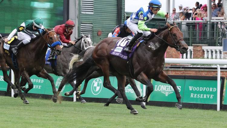 Betting with, and against, Arrest Me Red in the Jaipur Stakes