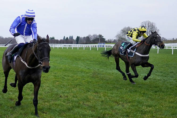 Betway Queen Mother Champion Chase 2023 Ante-Post Tips: Proven Cheltenham star to reign on Wednesday