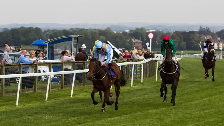 Beverley each-way tip: Panama City shaping up to defy outsider odds