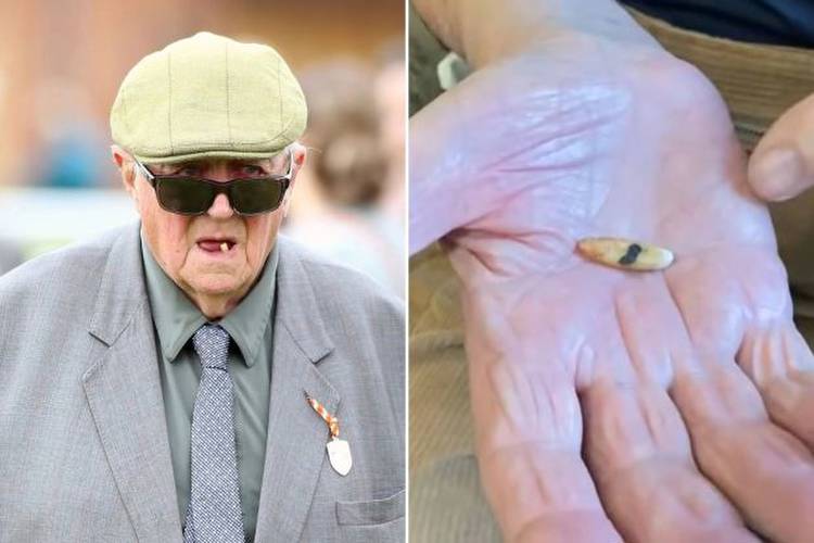 Bidding war for horse trainer's famous last remaining tooth begins as it 'goes into retirement' after 91 years