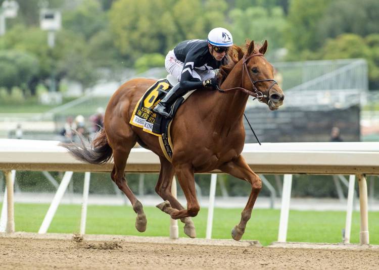 Big 'Cap Day roundup: Forbidden Kingdom romps in San Felipe Stakes