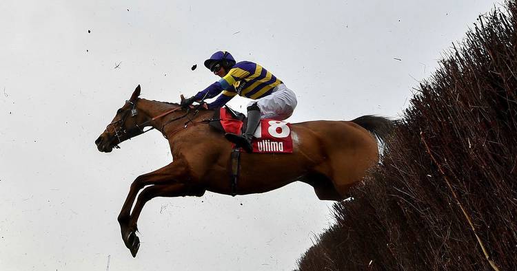 Big Grand National 2023 names stand ground in five-day declaration stage with Corach Rambler the favourite