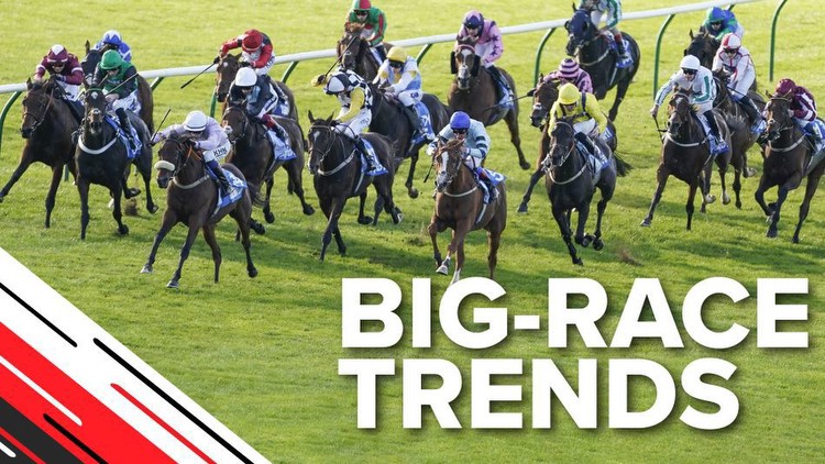 Big-race trends: can last season's Cambridgeshire provide a clue to this year's cavalry charge?