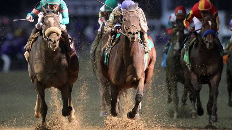 Blame wins the 2010 Breeders' Cup Classic