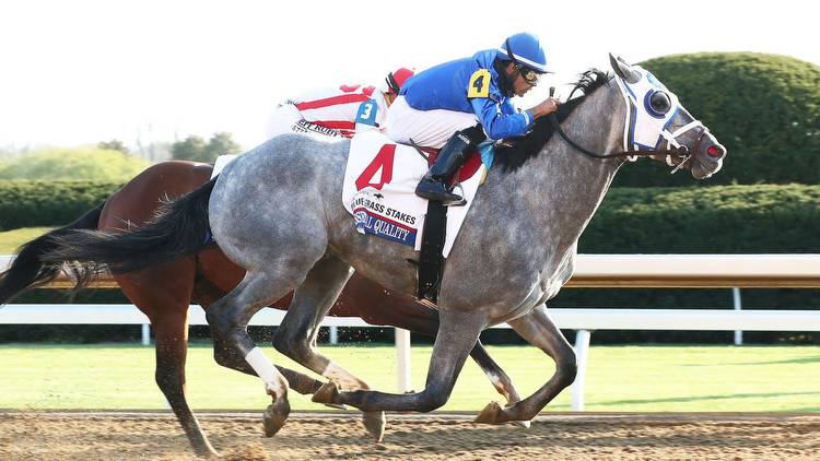 Blue Grass Stakes: Essential Quality beats Highly Motivated