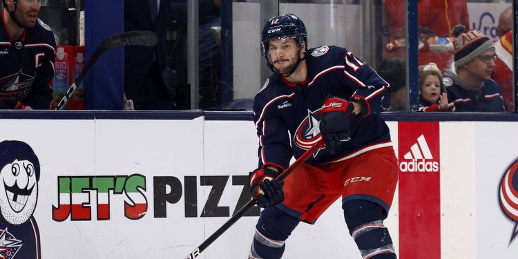 Blue Jackets vs. Ducks Prediction & Picks