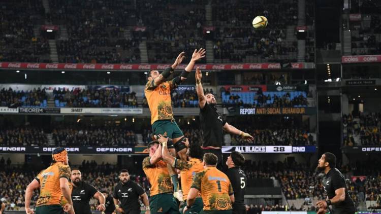 Bookies give Wallabies next to no hope of beating ABs