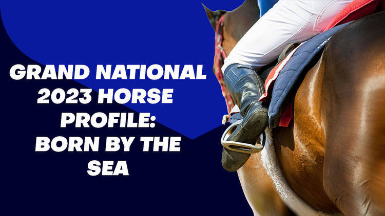 Born By The Sea Grand National Odds & Betting Profile