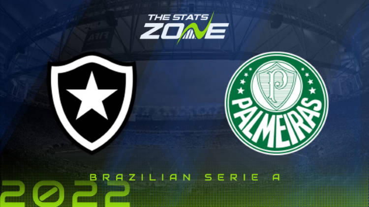 Botafogo vs Palmeiras Preview & Prediction