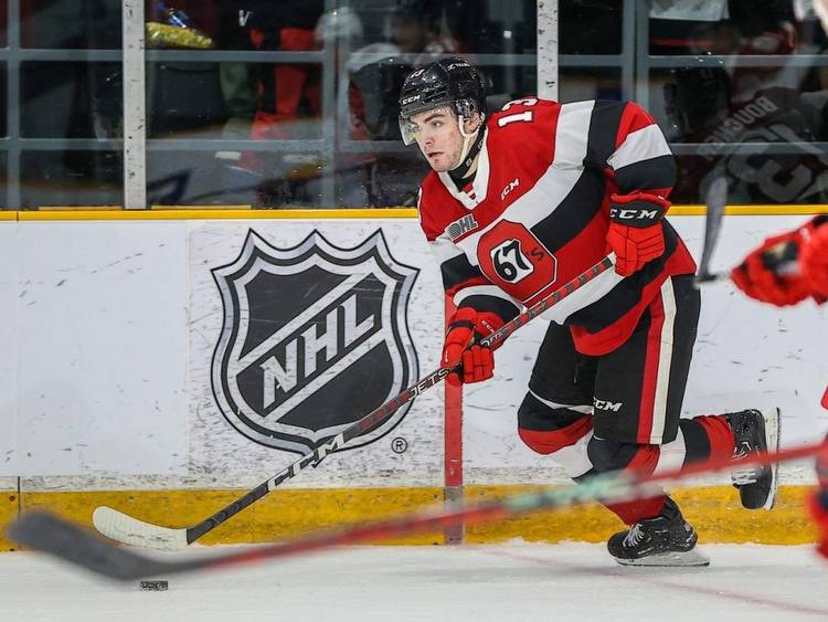 Boucher's absence was big factor in 67's demise