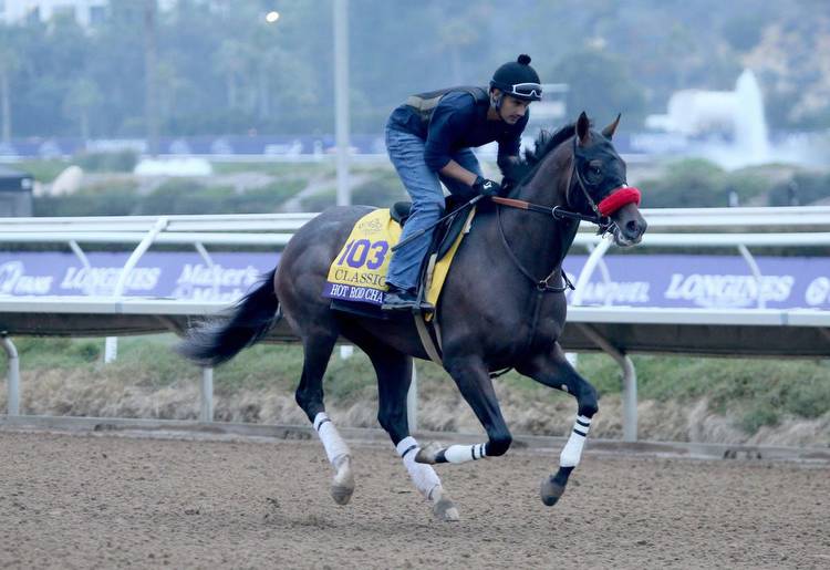Breeders’ Cup Classic 2022: Hot Rod Charlie, 4th-Place Veteran Of The 2021 Classic, Returns In Good Form