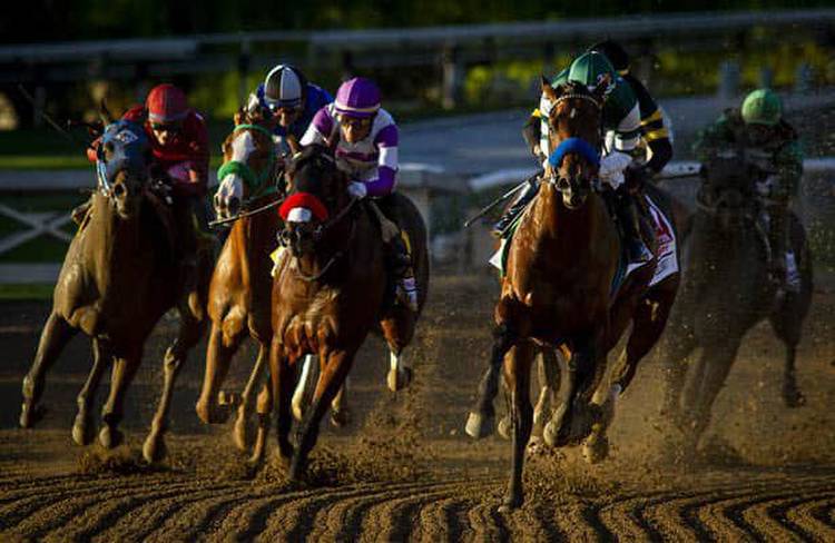 Breeders' Cup Classic: Will pays for pool 2 of Future Wager