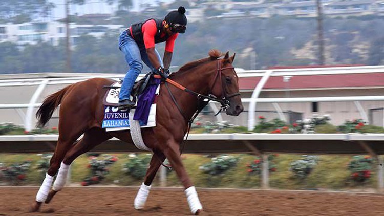 Breeders' Cup Coming in Del Mar in 2025