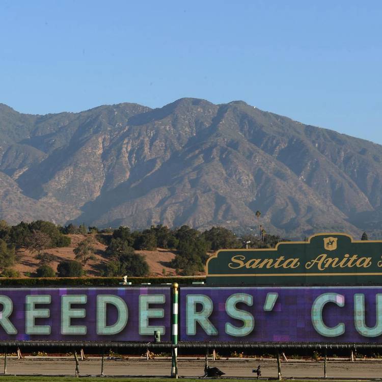 Breeders' Cup Odds: Betting Guide to Favorites and Dark Horses