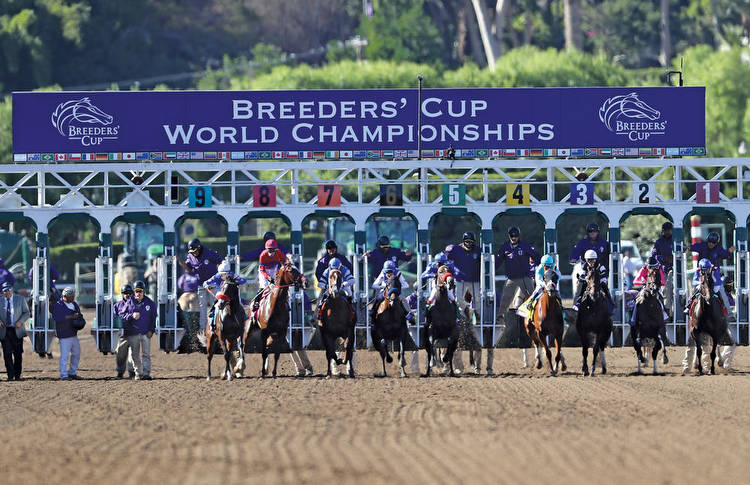 Breeders’ Cup to require tracks to follow HISA regulations
