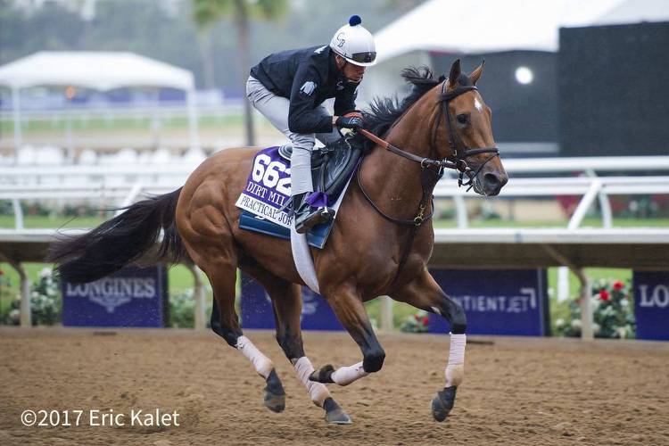Breeders' Cup Winning Traits Presented By NYRA Bets: Turf Sprint, Dirt Mile