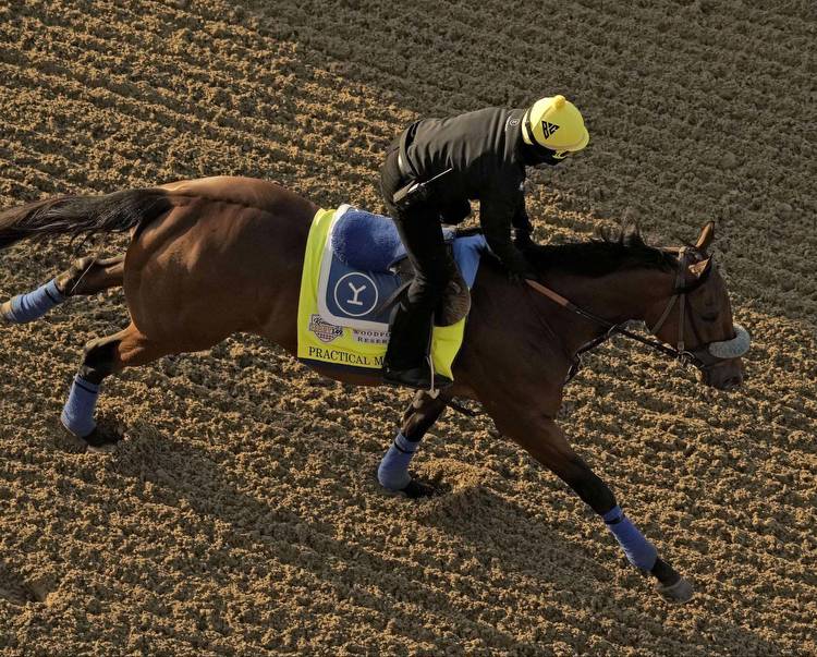 Broken dreams: Albuquerque-owned Practical Move scratched from Kentucky Derby