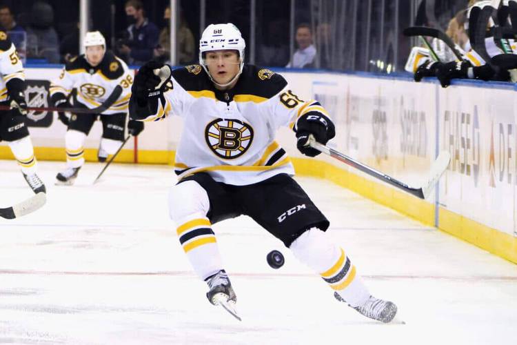 Bruins prospect Fabian Lysell rides pro hockey’s up-and-down wave