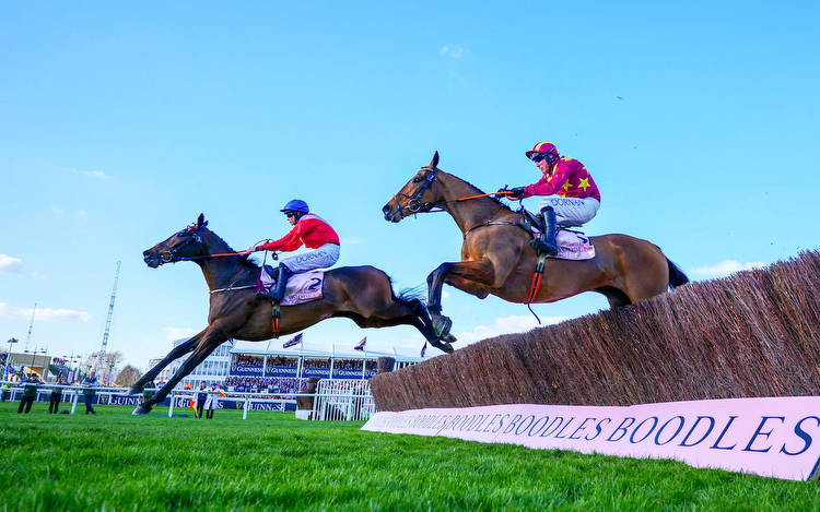 A Plus Tard (Rachael Blackmore) leads over the last en route to victory in the 2022 Cheltenham Gold Cup. Photo: Mark Cranham/focusonracing.com