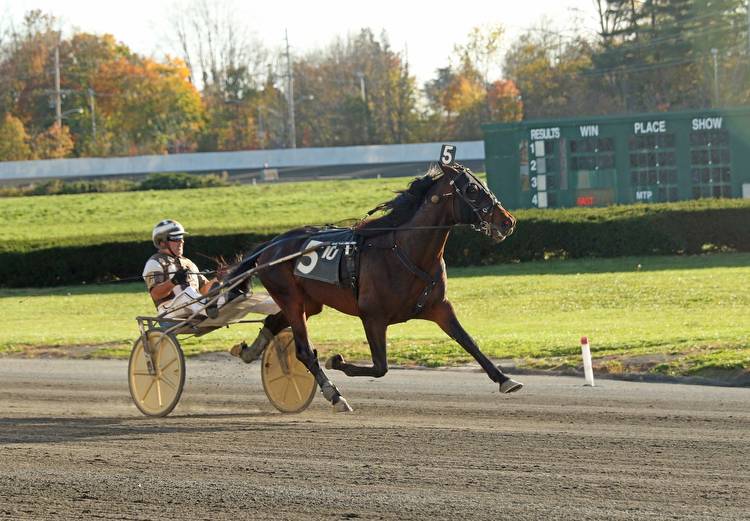 Calabrese, Beltrami victorious in AHDC trots