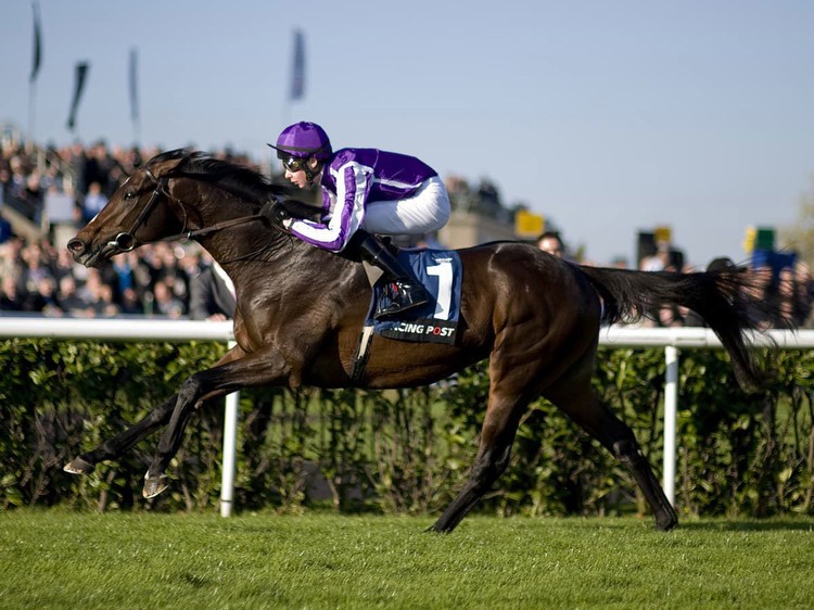 Camelot set to face smallest Derby field in over a century