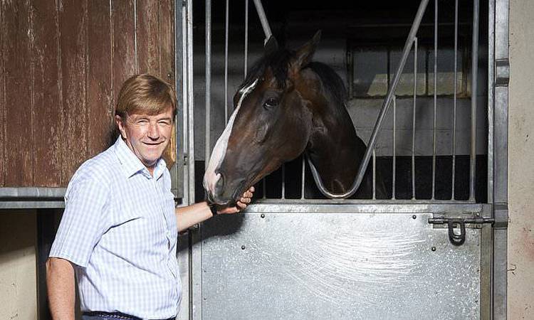 Can the horse that no one wanted win the Derby? Willie Muir is dreaming of Pyledriver glory