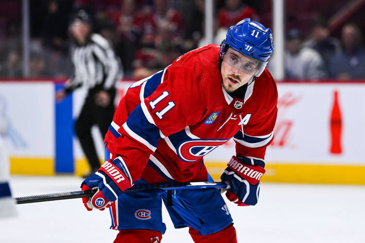 Canadiens: What Can Brendan Gallagher Produce Next Season?