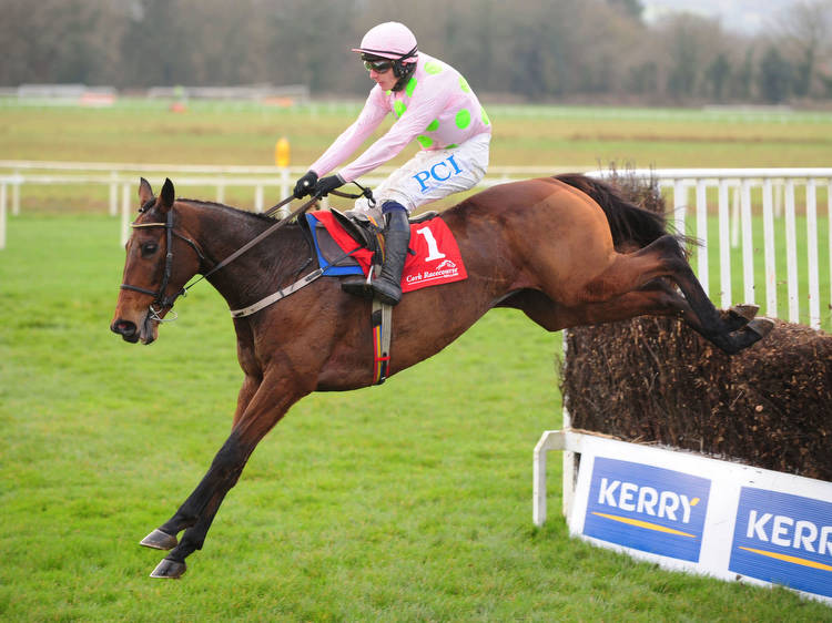 Chacun Pour Soi trimmed for Champion Chase after making no mistake on Cork return