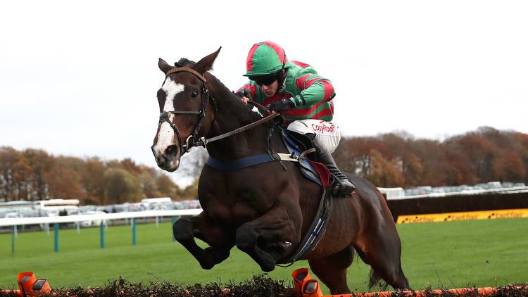 Champion Hurdle dream alive for Tommy's Oscar after fluent win