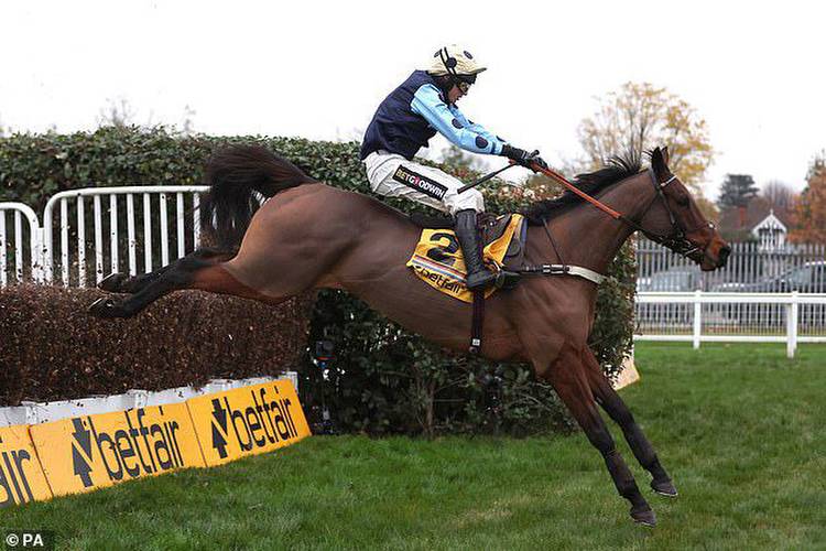 Champion Hurdle favourite Constitution Hill features in beauty pageant of British jump racing