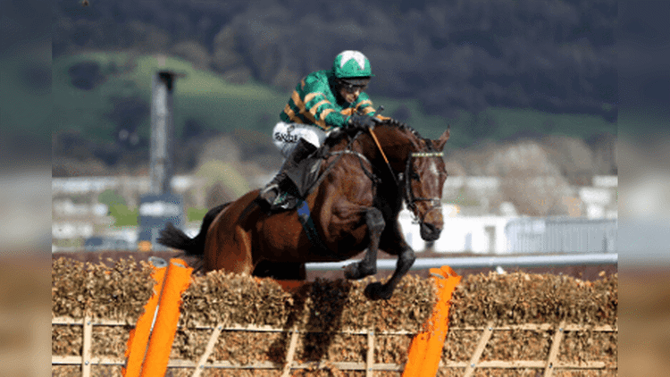 Champion Hurdle Trends for the 2024 Cheltenham Festival