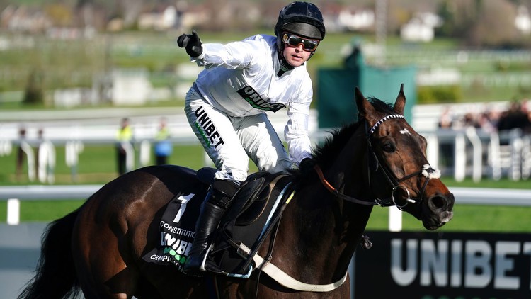 Champion Hurdle: Unbeaten star Constitution Hill heads 22 entries for Cheltenham Festival clash