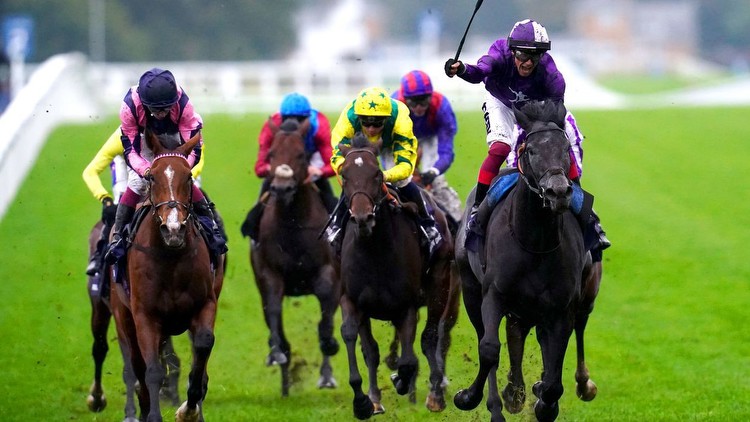 Champion Stakes report and replay: Glory for King Of Steel and Dettori