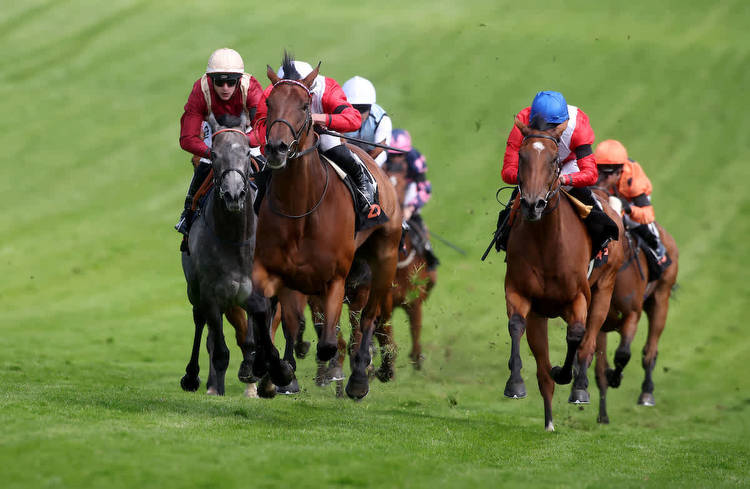 Champions Day tips: Four big-priced bets for Ascot on Saturday
