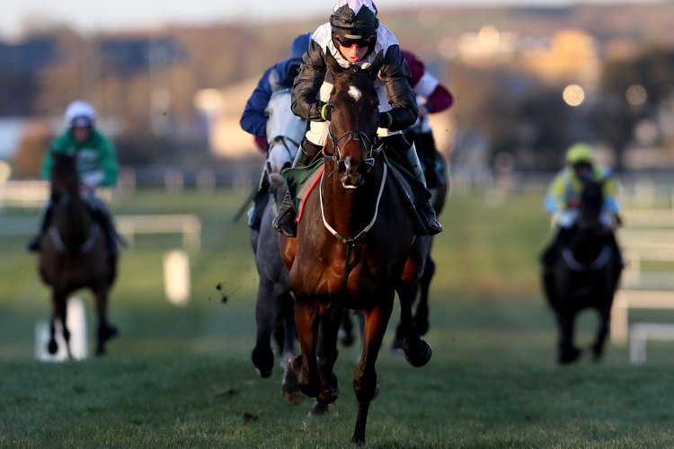 Cheltenham 2023: NAP of the Day for Cheltenham Day 2