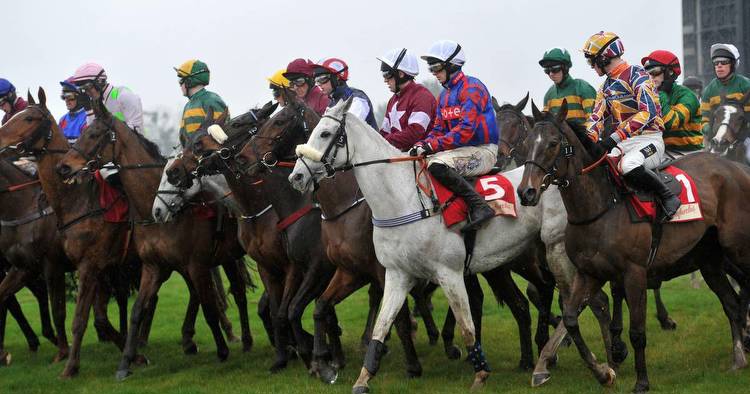 Cheltenham betting offers: best free bets for the Gold Cup
