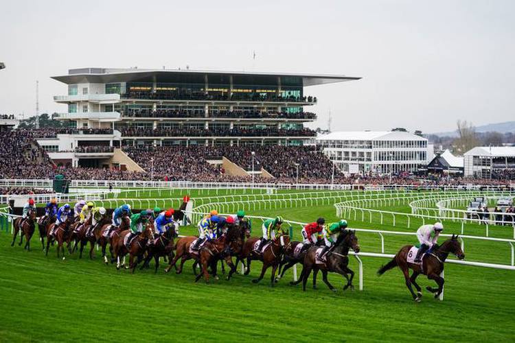 Cheltenham Festival 2023 day two tips as Garry Owen goes for Edwardstone and The Real Whacker