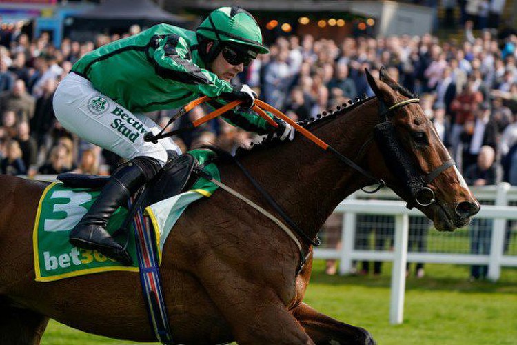 Cheltenham Festival 2023 five outside bets: Each-way tips for the Arkle, Gold Cup and more!