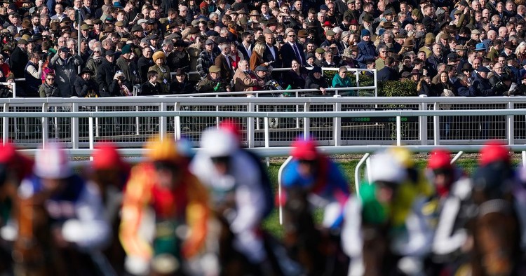 Cheltenham Festival 2024 ante-post tips: Four horses we like at each-way prices