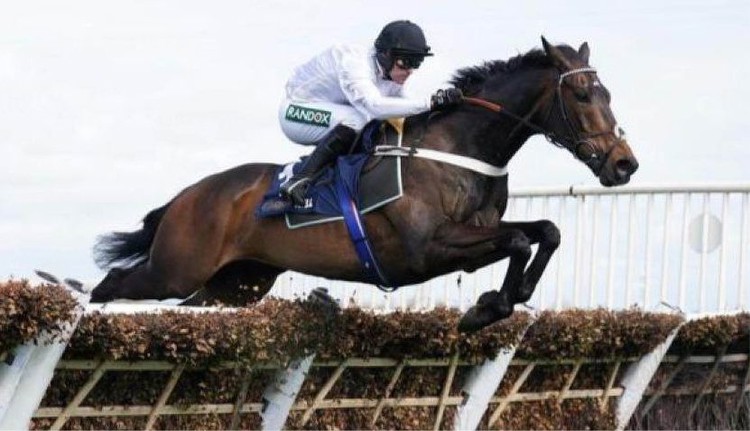 Cheltenham Festival 2024: Will Constitution Hill Reign Supreme in the Champion Hurdle?